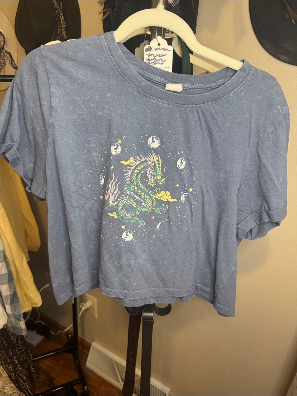 Blue Dragon Graphic Crop Tee